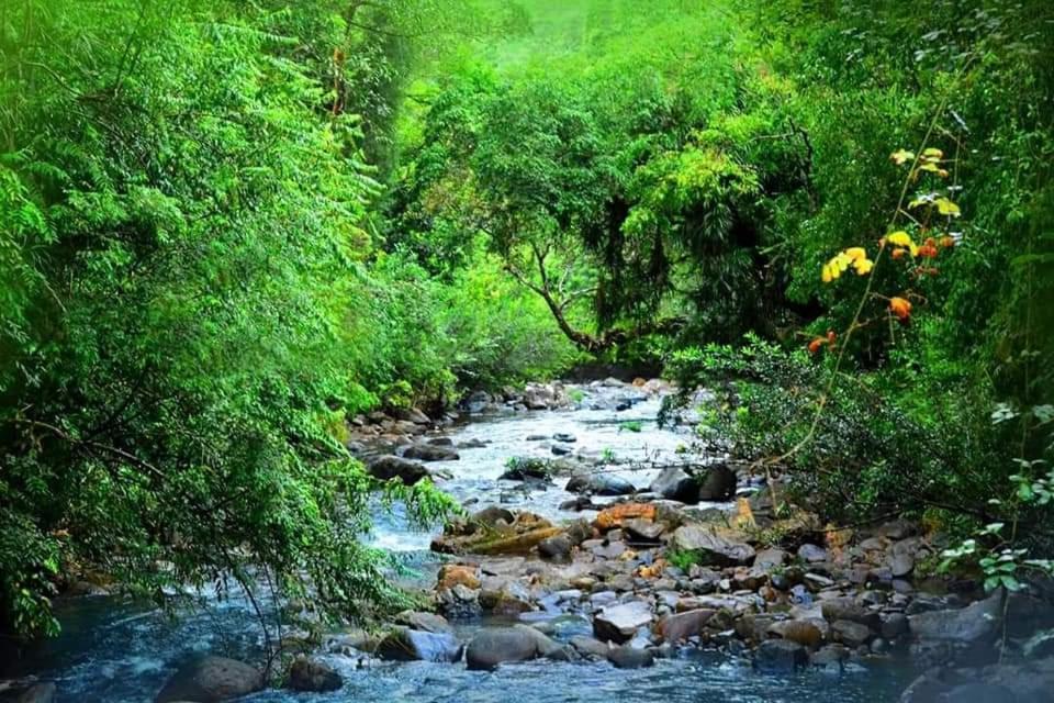 Sinharaja Forest Gate Deniyaya Dış mekan fotoğraf