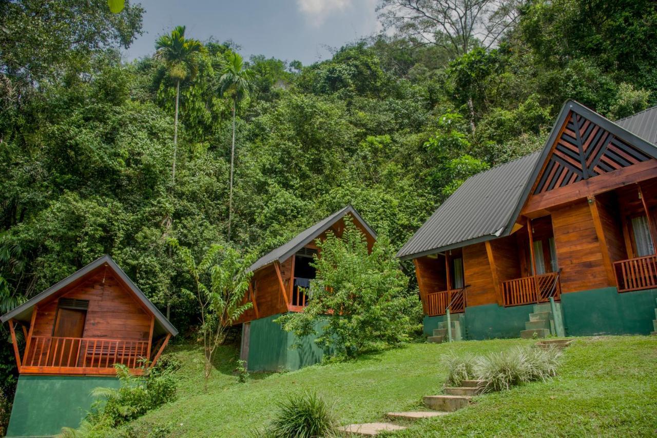 Sinharaja Forest Gate Deniyaya Dış mekan fotoğraf