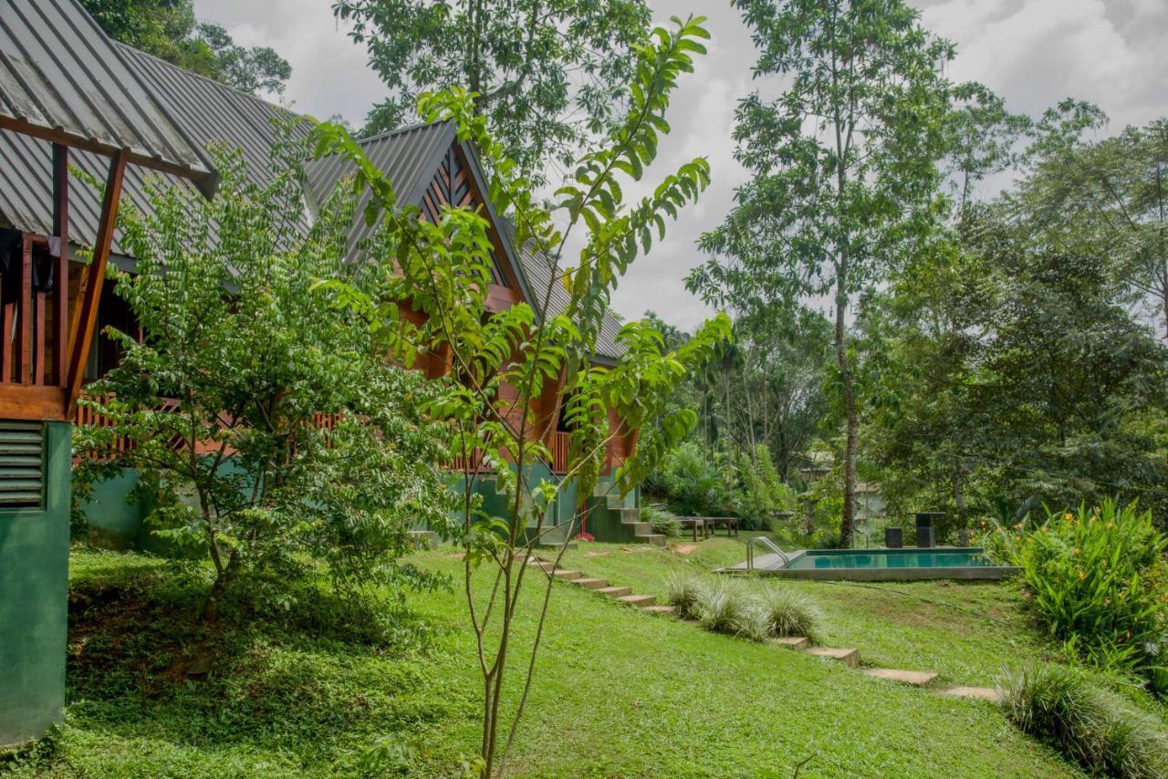 Sinharaja Forest Gate Deniyaya Dış mekan fotoğraf