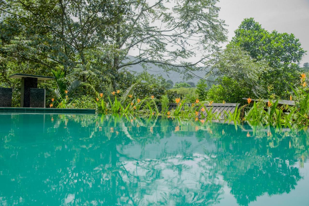 Sinharaja Forest Gate Deniyaya Dış mekan fotoğraf