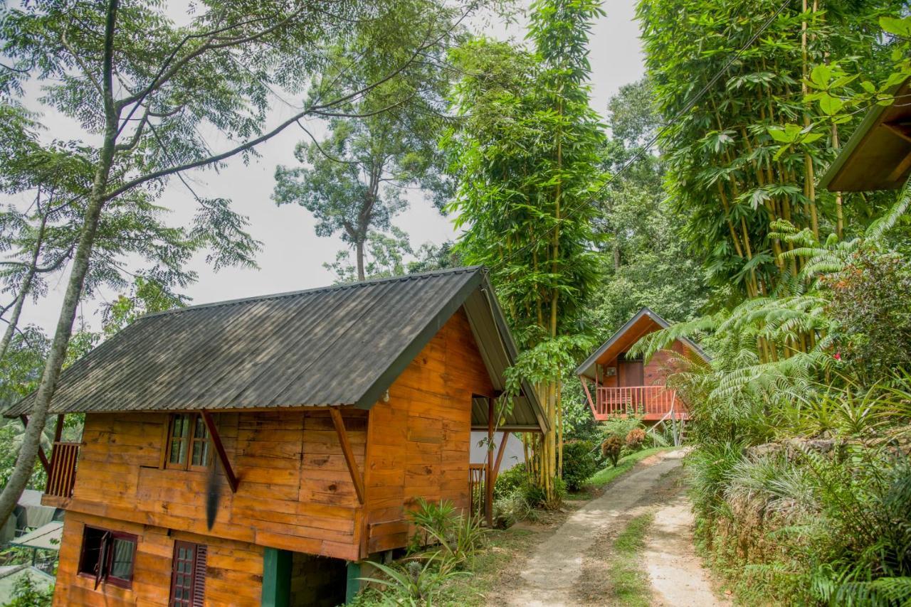 Sinharaja Forest Gate Deniyaya Dış mekan fotoğraf