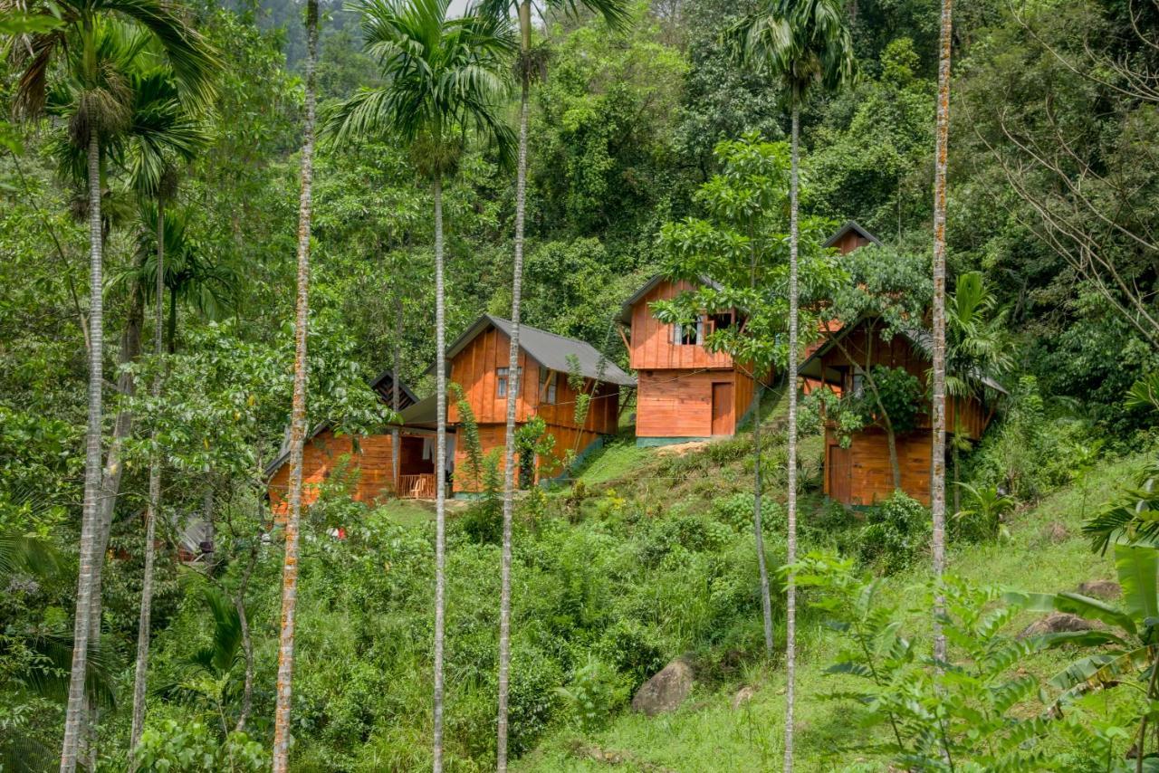 Sinharaja Forest Gate Deniyaya Dış mekan fotoğraf