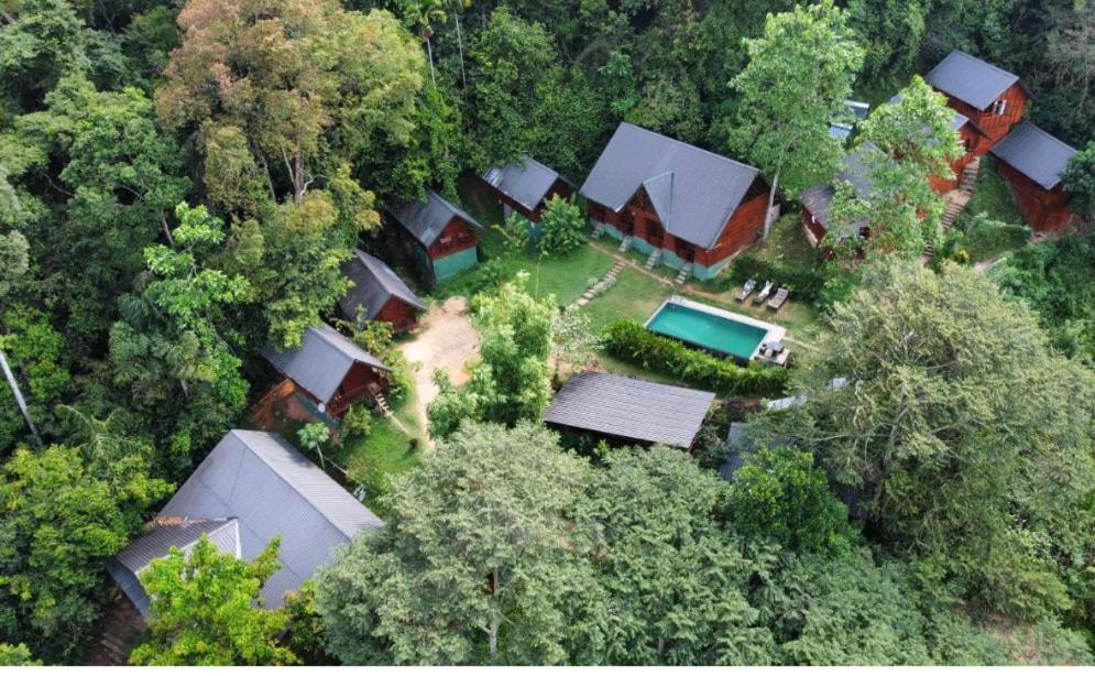 Sinharaja Forest Gate Deniyaya Dış mekan fotoğraf