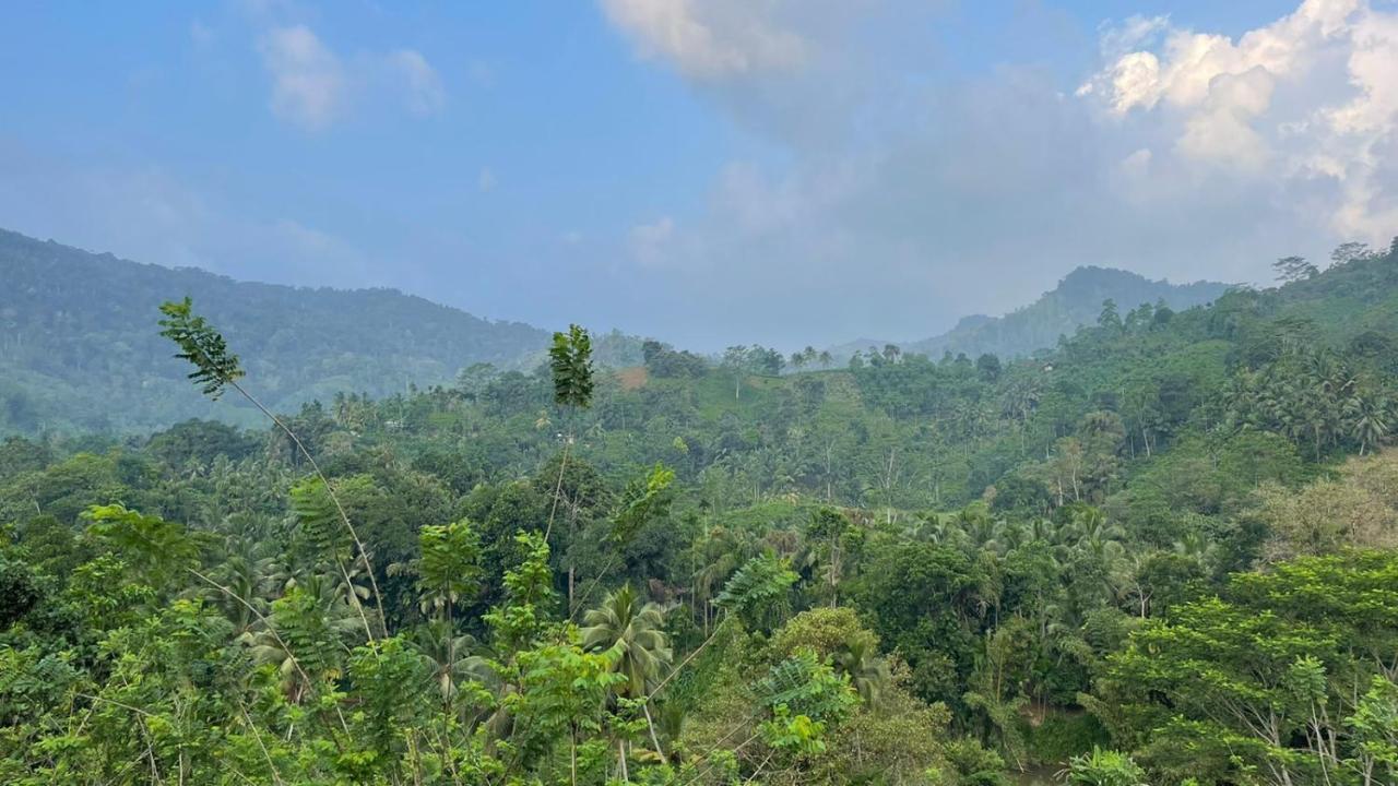 Sinharaja Forest Gate Deniyaya Dış mekan fotoğraf