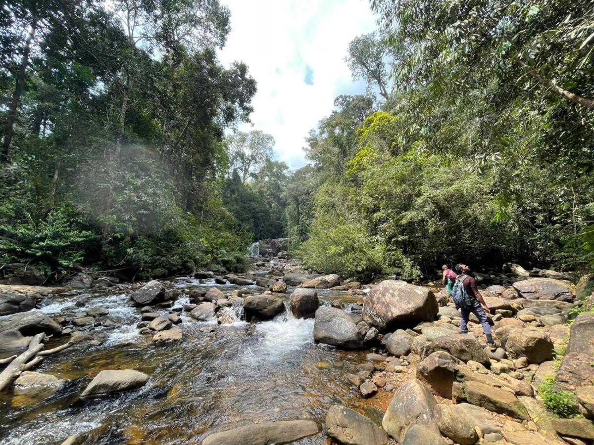 Sinharaja Forest Gate Deniyaya Dış mekan fotoğraf