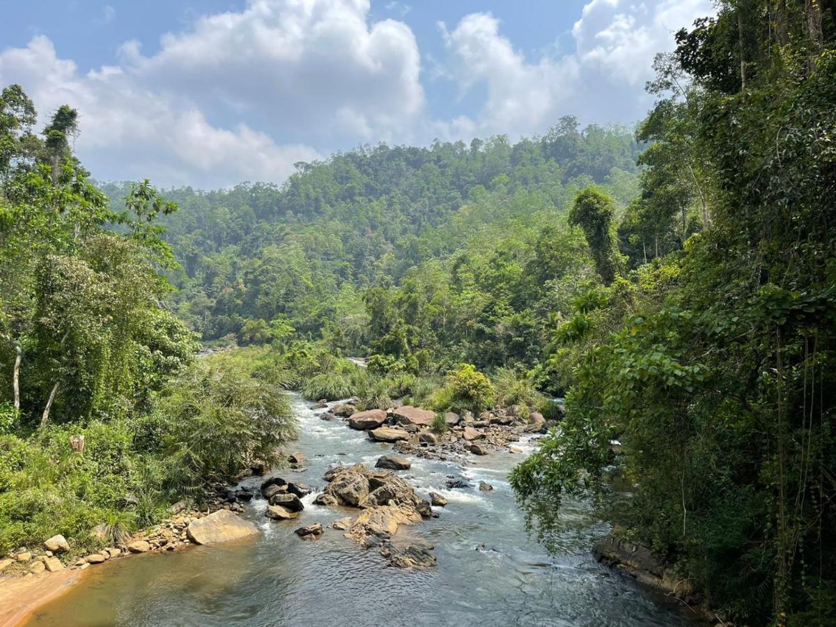 Sinharaja Forest Gate Deniyaya Dış mekan fotoğraf