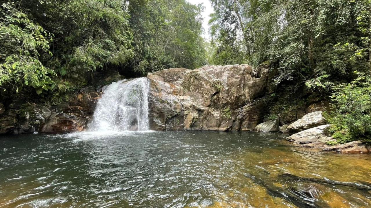 Sinharaja Forest Gate Deniyaya Dış mekan fotoğraf