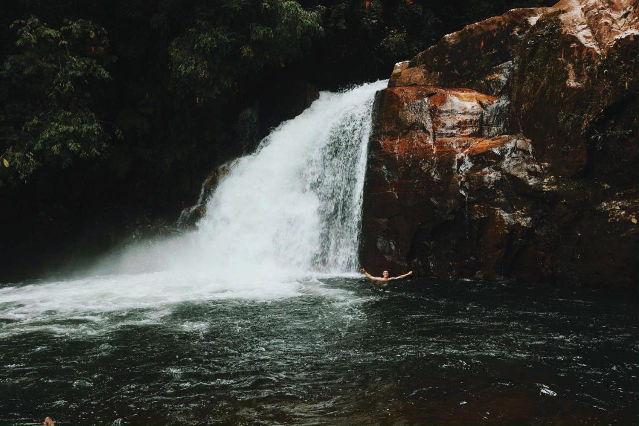 Sinharaja Forest Gate Deniyaya Dış mekan fotoğraf