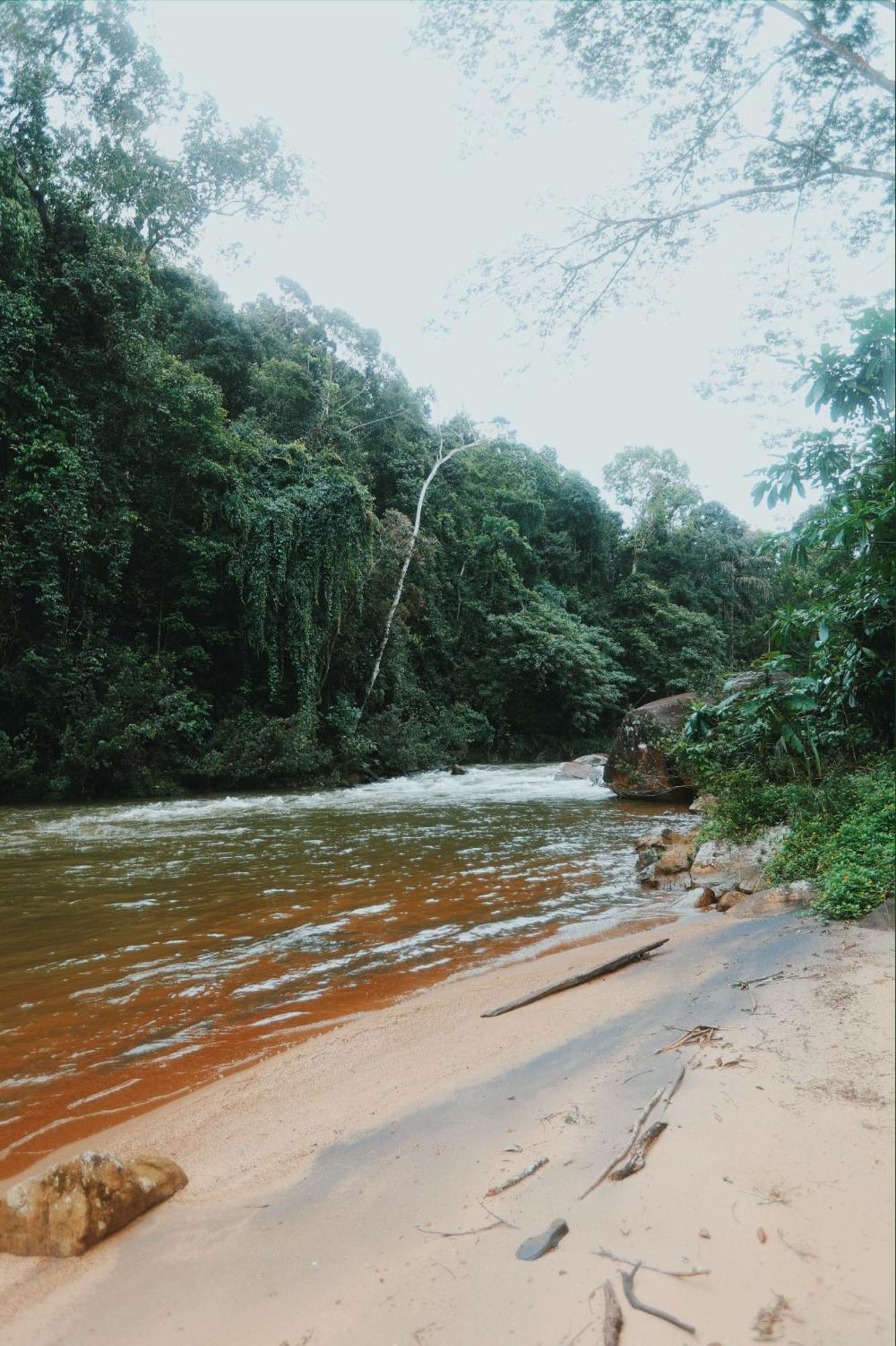 Sinharaja Forest Gate Deniyaya Dış mekan fotoğraf