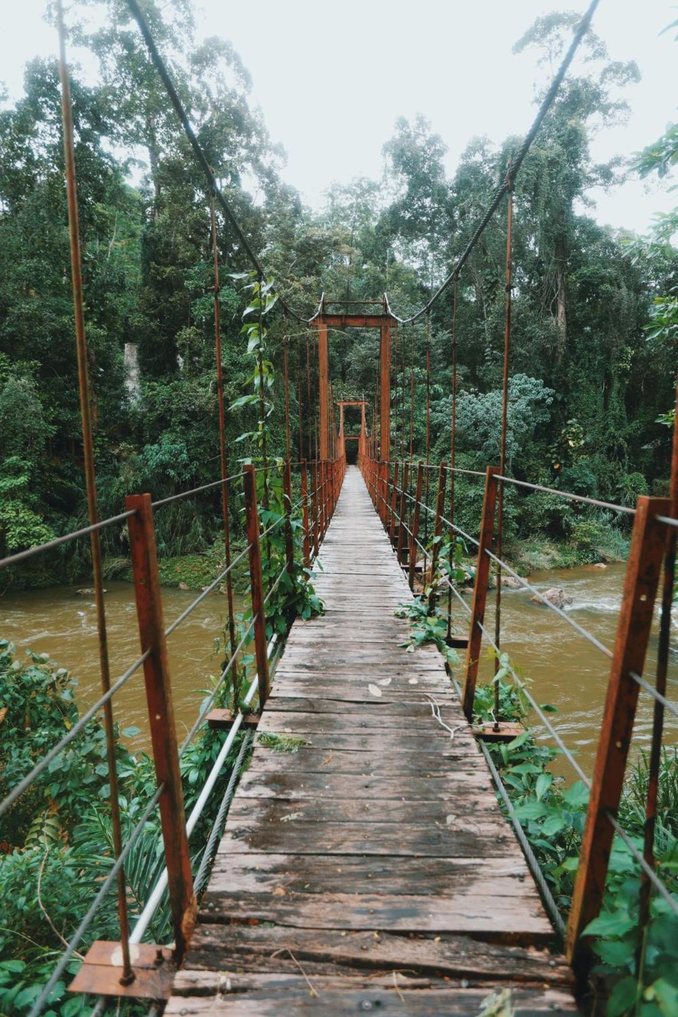 Sinharaja Forest Gate Deniyaya Dış mekan fotoğraf